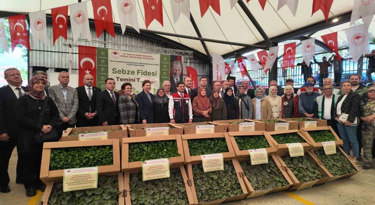 Silivride üreticiye 614 bin fide ve 4 ton tohum desteği