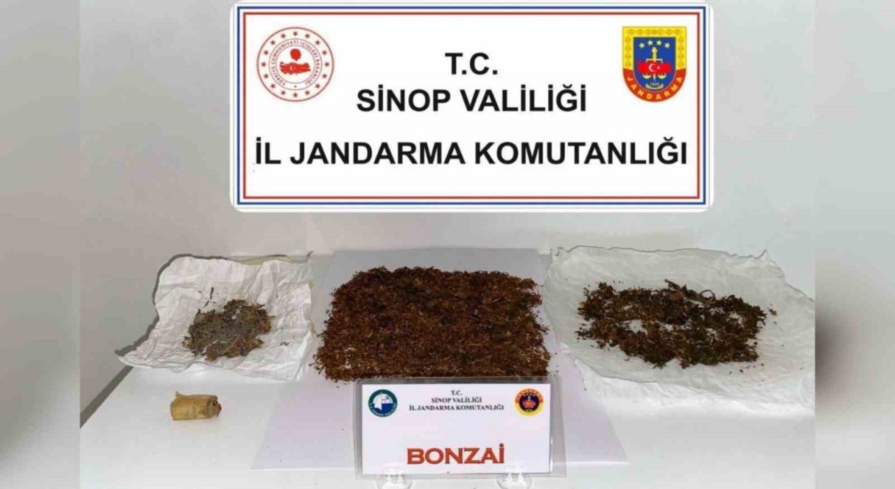 Sinopta zehir operasyonu