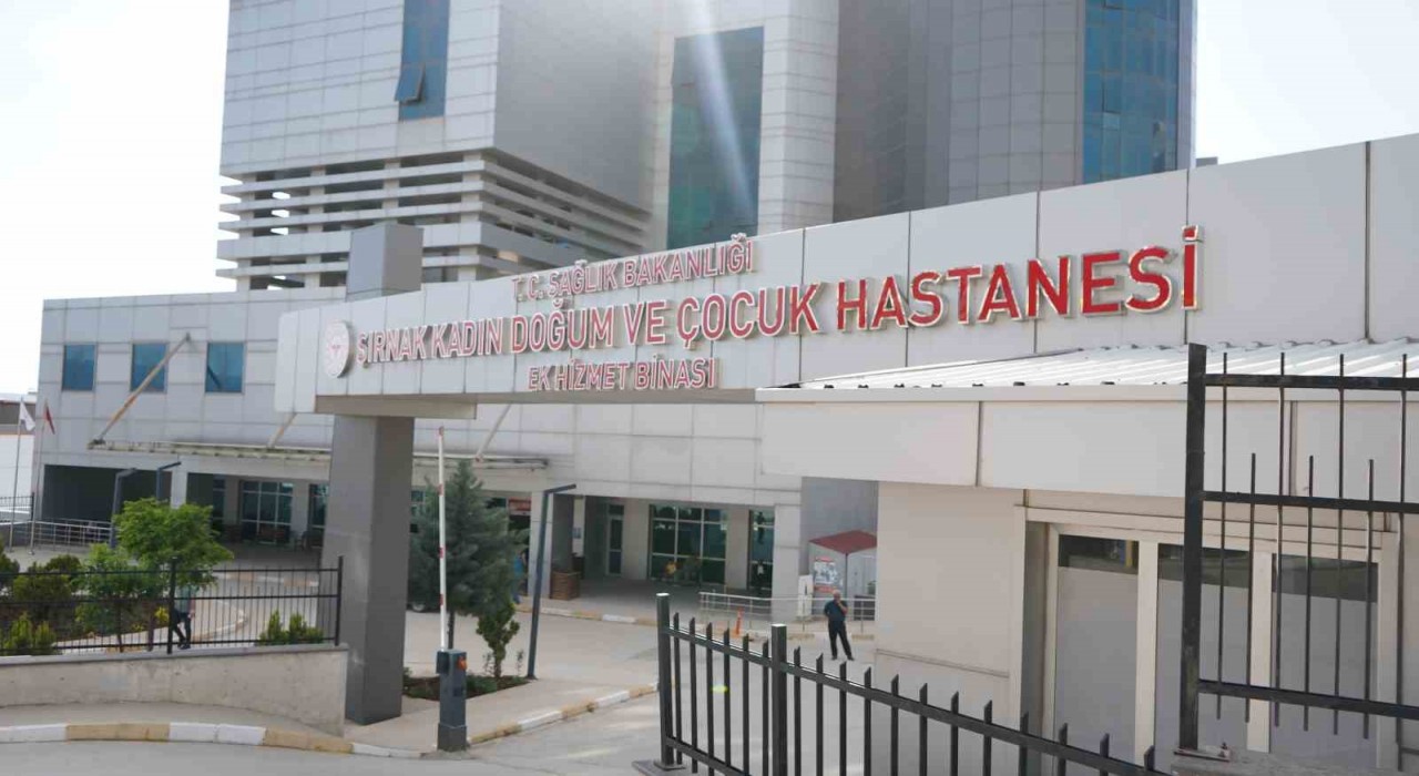Şırnakın ebeleri anneliği anlattı