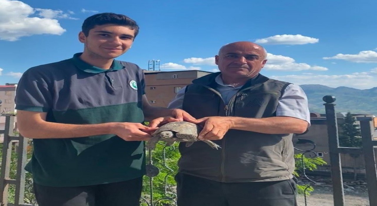Şırnakta yaralı yaban hayvanları koruma altına alındı