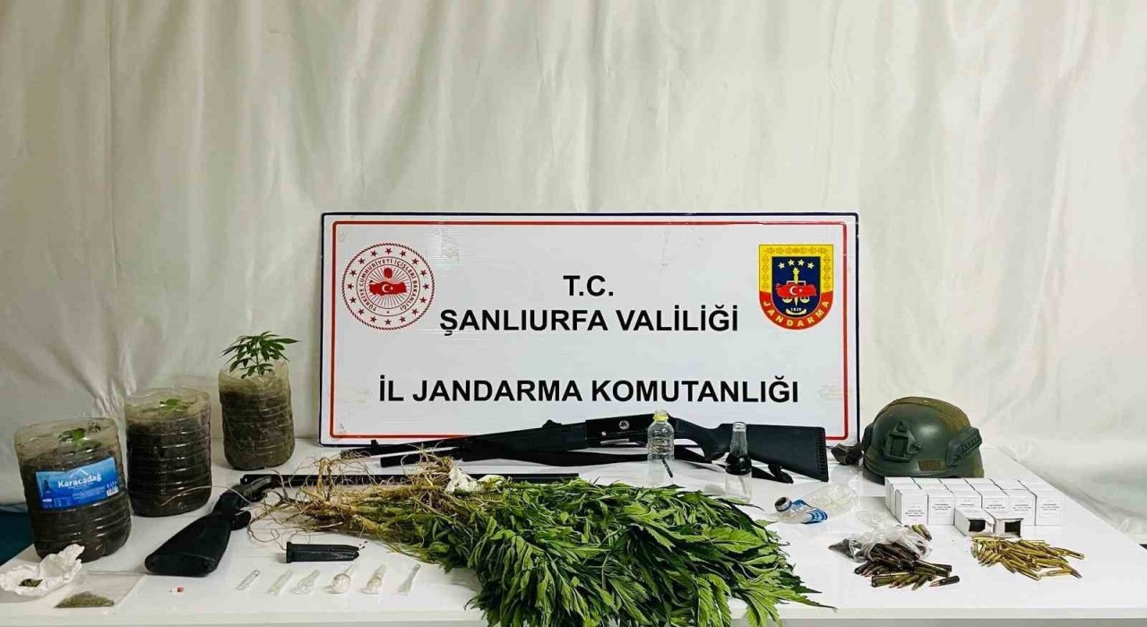 Siverekte uyuşturucu operasyonu: 42 gözaltı