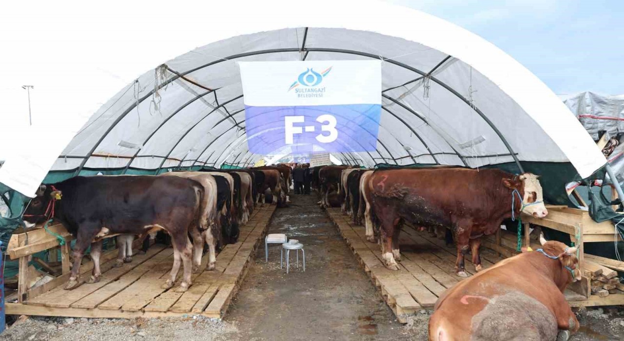 Sultangazi Belediyesi kurban alanında bayram hareketliliği