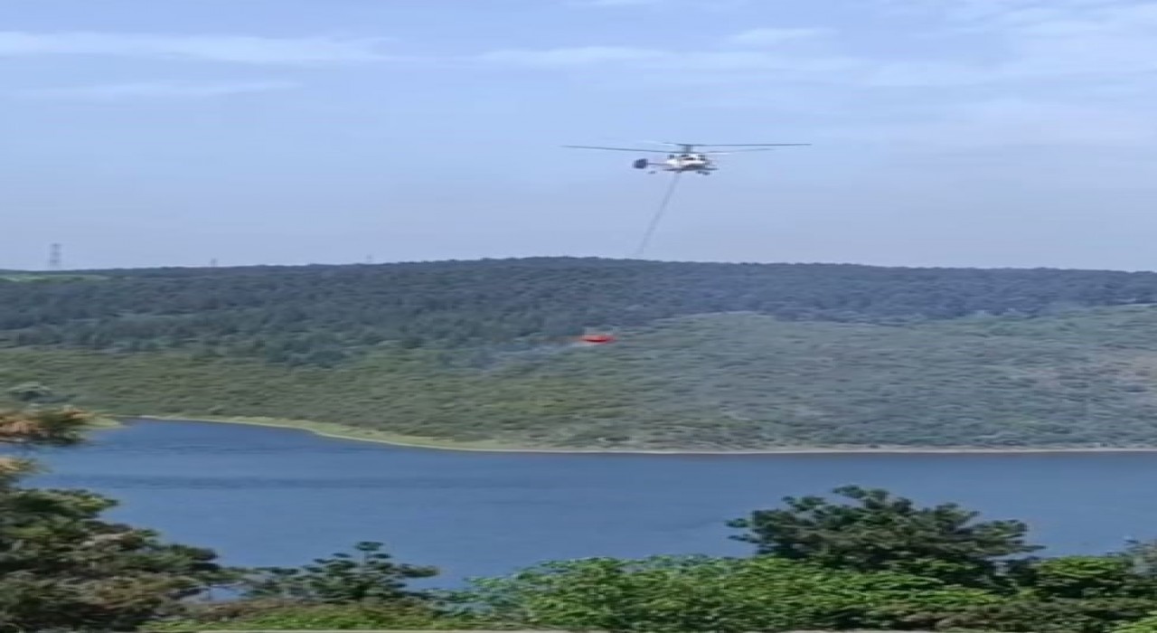 Sultangazide orman yangını