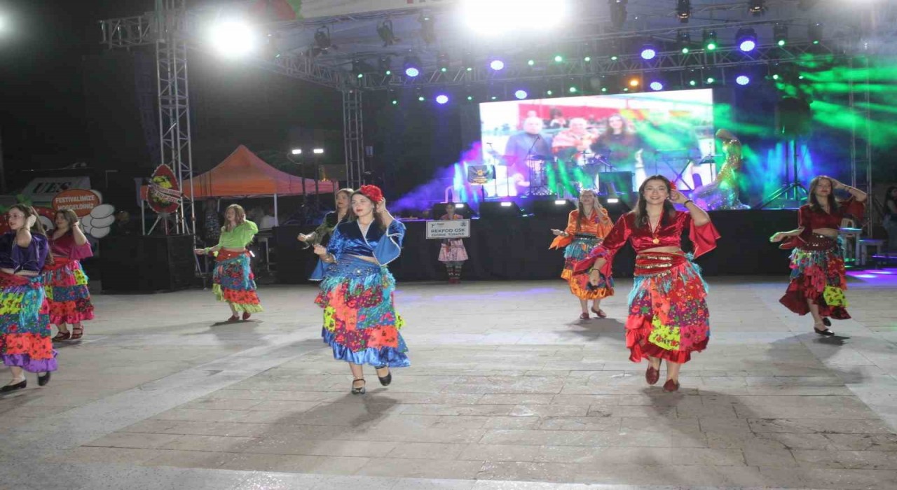 Sultanhisarda festival, dans şovları ve konser ile başladı