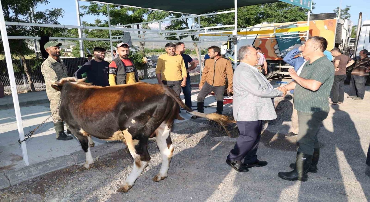 Talasta kurban pazarına başvurular başladı