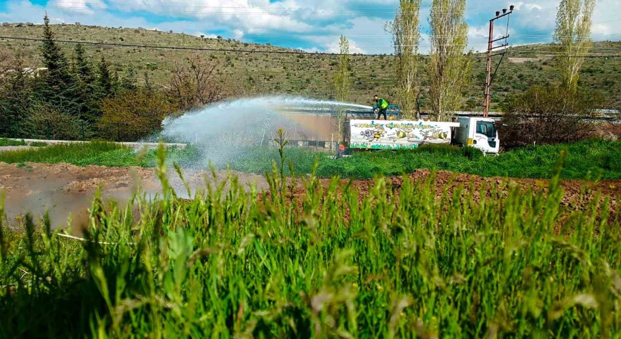 Talasta sinek ve haşerata erken önlem