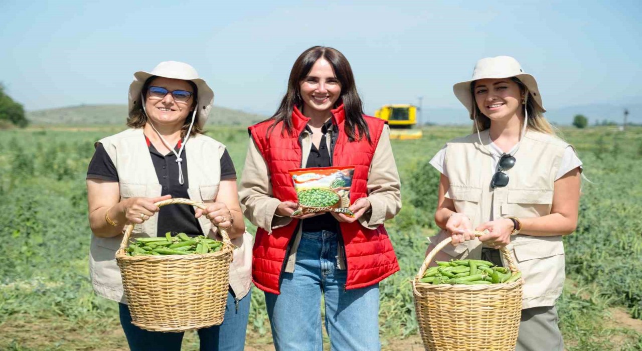 Tarımın Kadın Yıldızlarının emeğiyle SuperFresh Egeden Hasat Bezelye