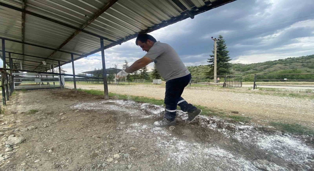 Taşköprü Belediyesi, Kurban Bayramı öncesinde hazırlıklarını tamamladı