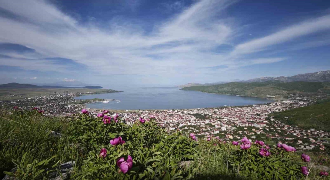 Tatvanda şakayık çiçekleri görsel şölen sunuyor