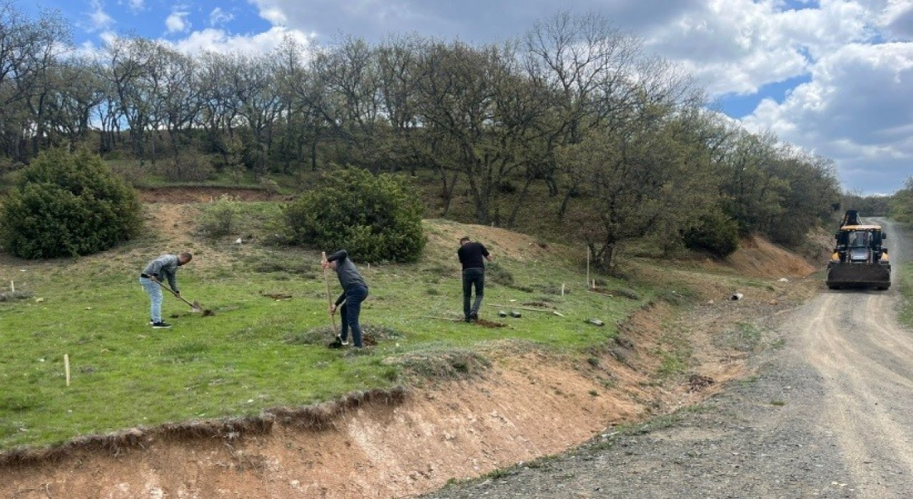 Tavşanlı Kuruçay Göleti çevresi hükümlülerin ellerinden yeşeriyor