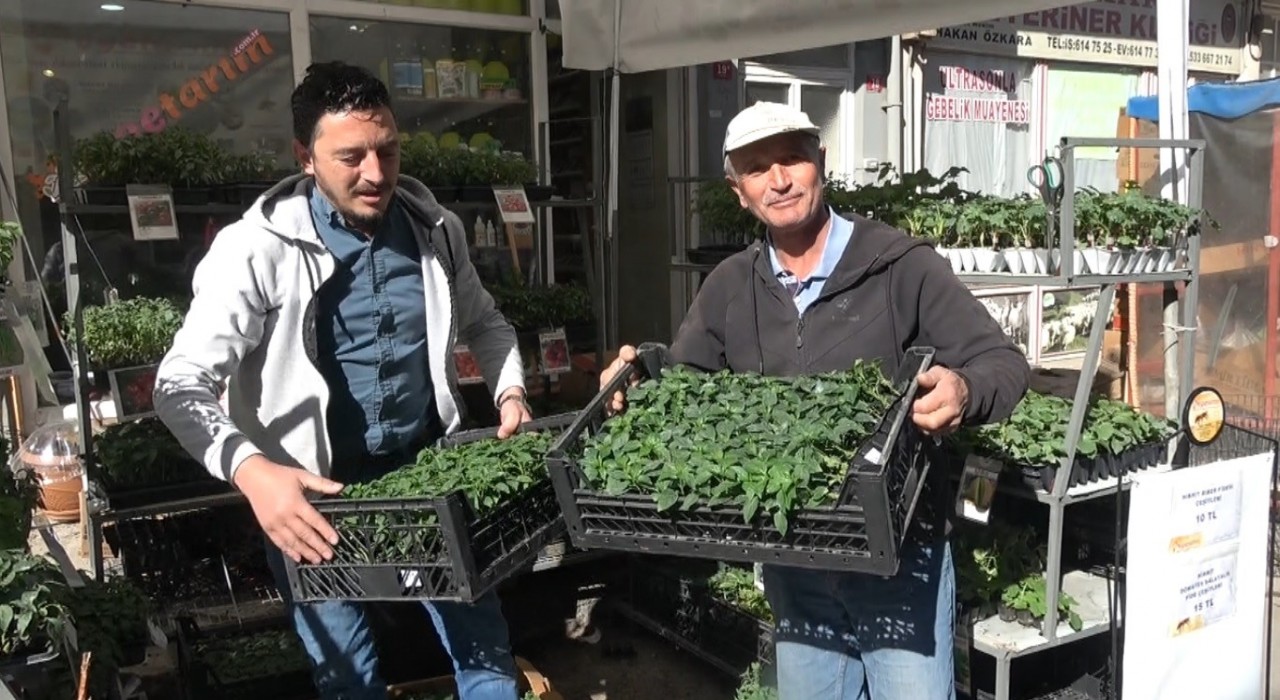 Tavşanlıda fide çeşitliliği ile verimli sezon bekleniyor