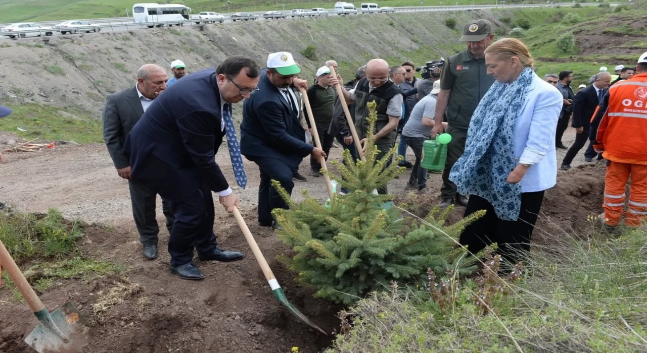 TBMMnin 105. yılı anısına 105 bin fidan toprakla buluştu
