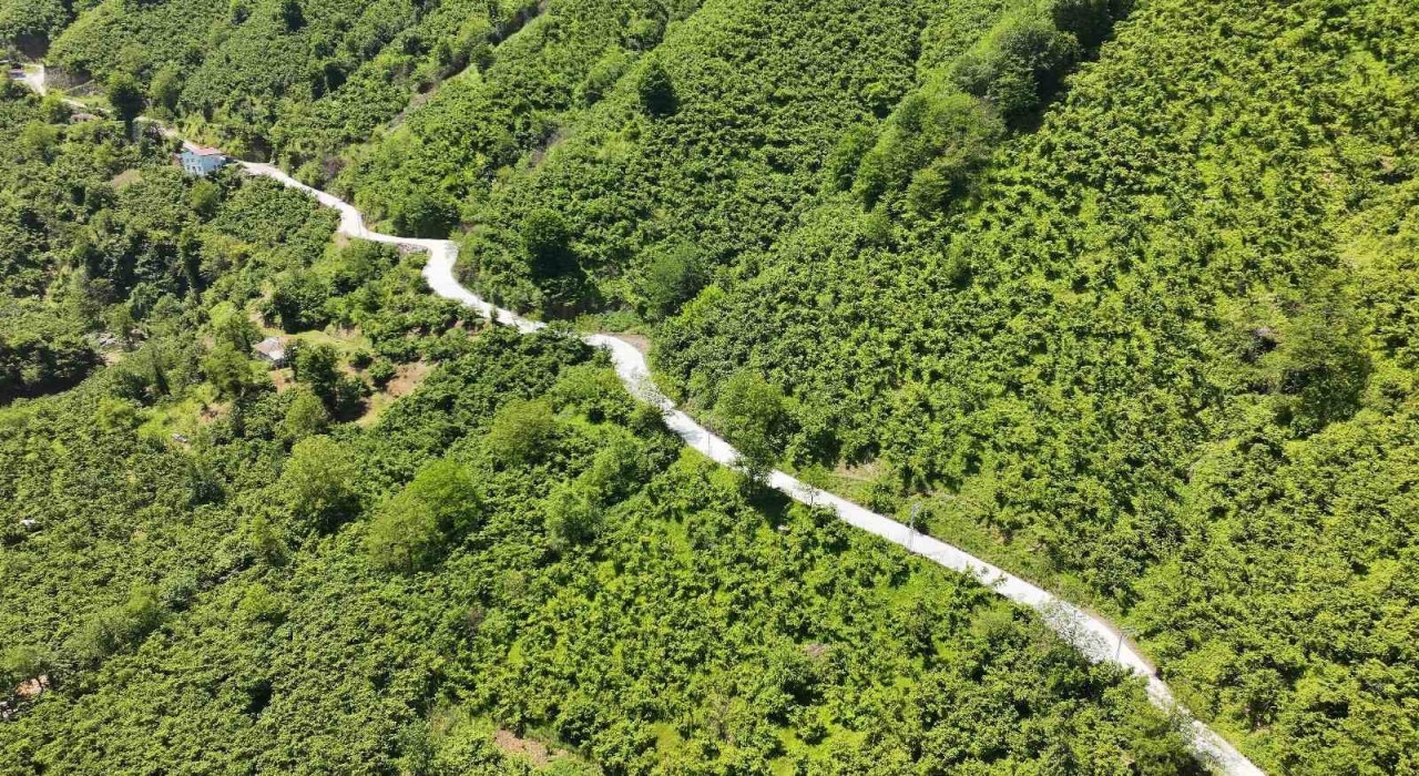 Termede beton yol çalışması