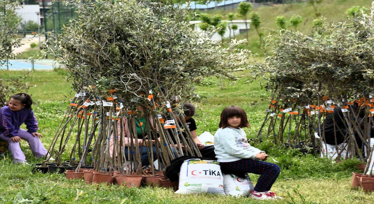 TİKAdan Arnavutluktaki yetim ailelere zeytin fidanı ve gübre desteği