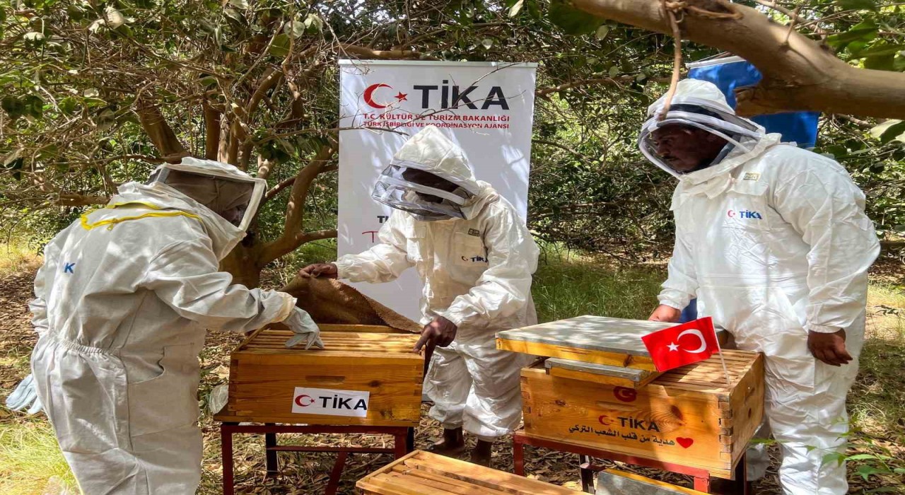 TİKAdan Sudanda arıcılığa destek