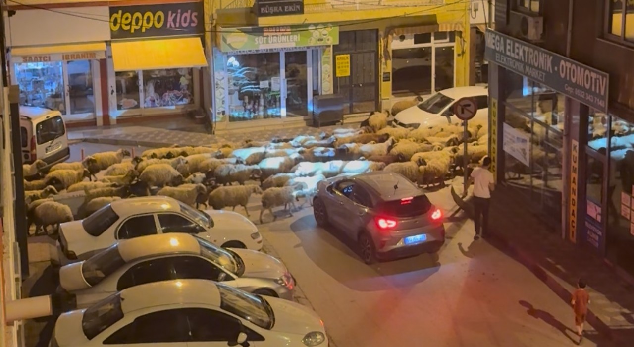 Tokatta gece başlayan yayla göçü dronla görüntülendi