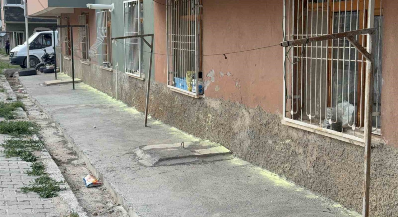 Tokatta iki kadının fare kovma yöntemi apartman sakinlerini hastanelik etti