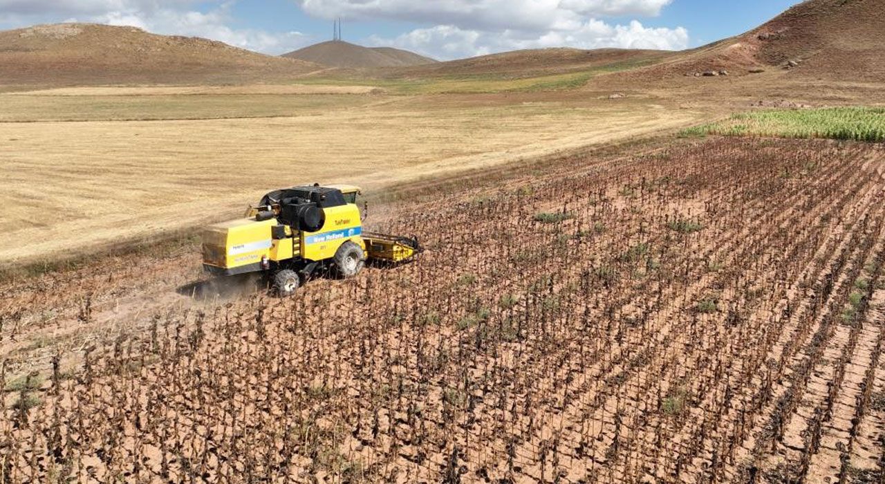 TÜİK: Mart 2025’te Tarım Girdi Fiyat Endeksi Yıllık %29,73 Arttı