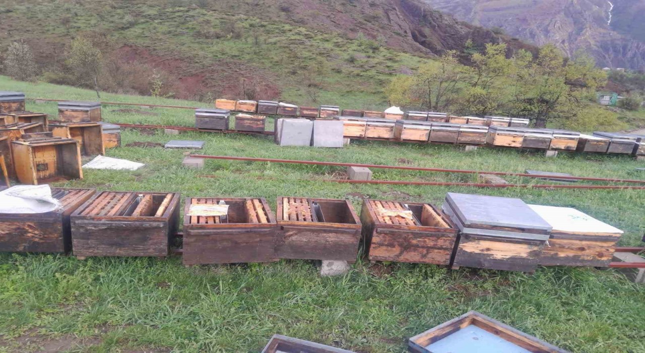 Tunceli Arı Yetiştiricileri Birliği Başkanı Doğan, Fırtınadan zarar gören arıcılar TARSİMe başvurmalı
