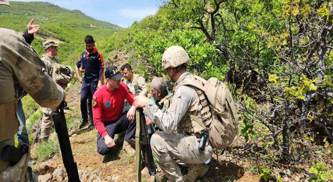Tuncelide kaybolan yaşlı adam jandarma tarafından bulundu