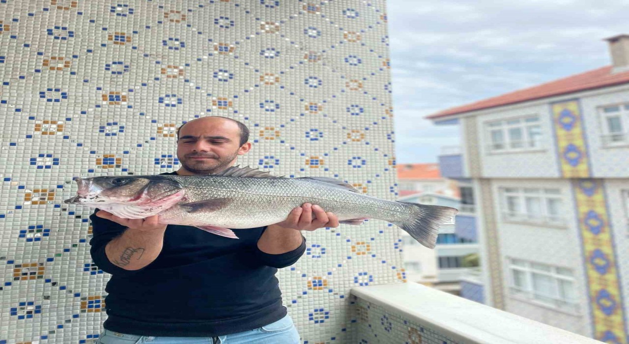 Türkelide 7,5 kiloluk dev levrek yakalandı
