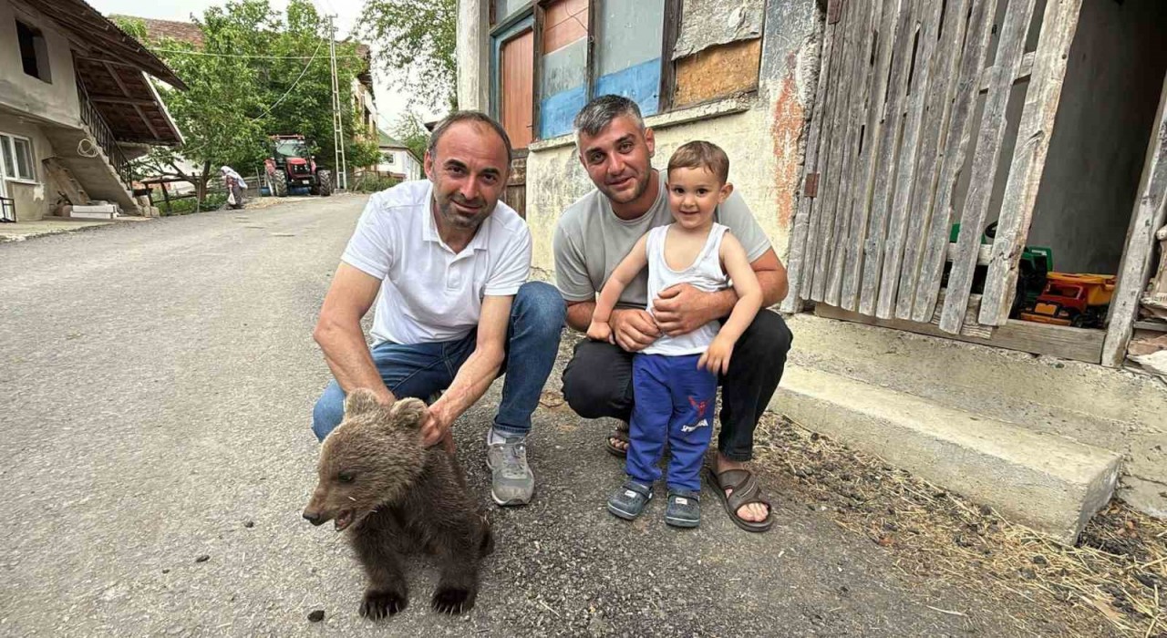 Türkelide annesiz bulunan yavru ayı kurtarıldı