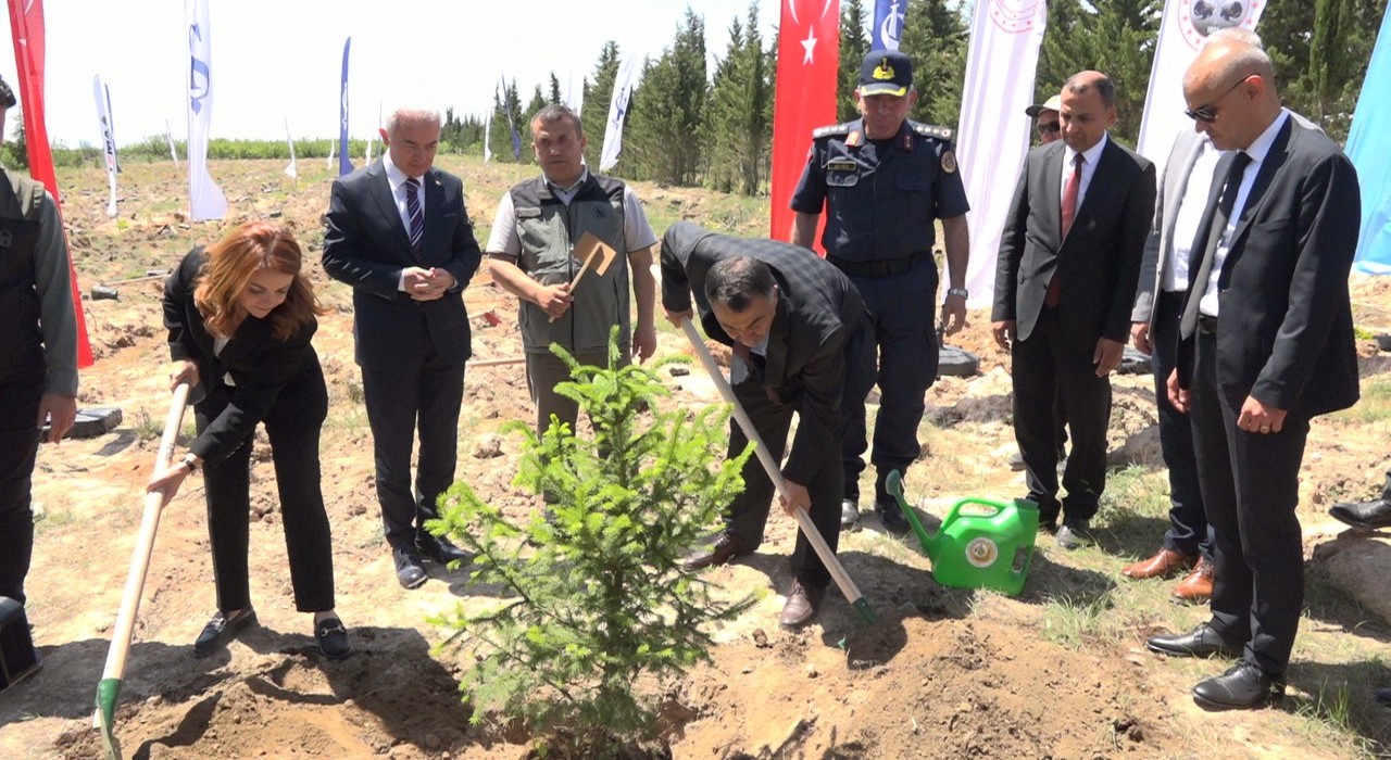 Türkiyede 81 İlde 81 Orman projesi kapsamında 81 ilde 2,2 milyon fidan toprakla buluşacak