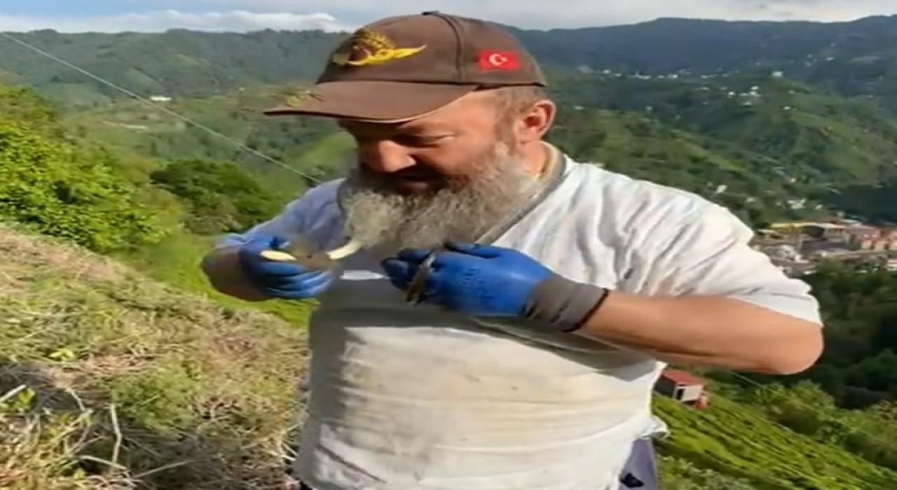 Tuttuğu yılanın önce güzelliğini anlattı, sonra kolye gibi boynuna doladı