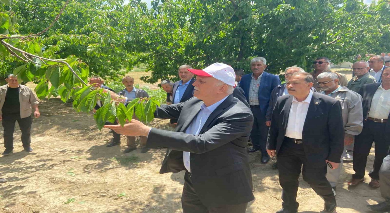 TZOB Başkanı Bayraktar: 65 vilayetimizde büyük bir zirai don felaketi ile karşı karşıya kaldık