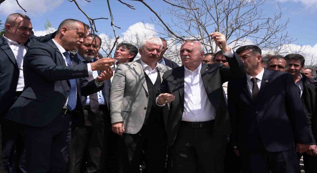 TZOB Başkanı Bayraktar, Kahramanmaraşta zirai dondan etkilenen bahçeleri inceledi