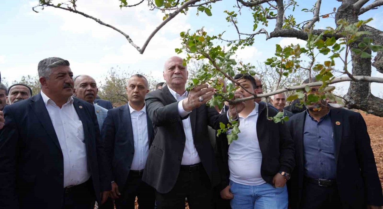 TZOB Genel Başkanı Bayraktar, Gaziantepte dondan etkilenen bahçeleri inceledi