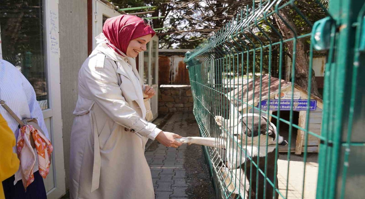 Üniversite öğrencilerinden Doğal Yaşam Merkezine ziyaret