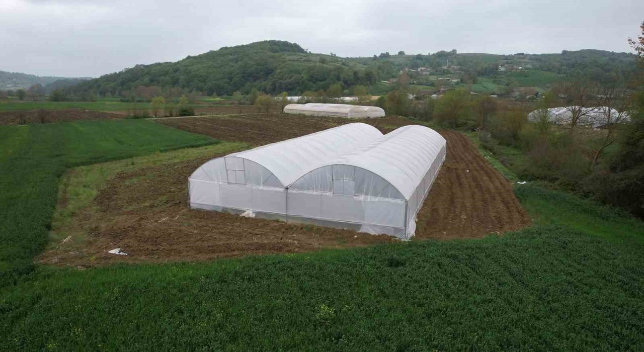 Üreticilere sera desteği