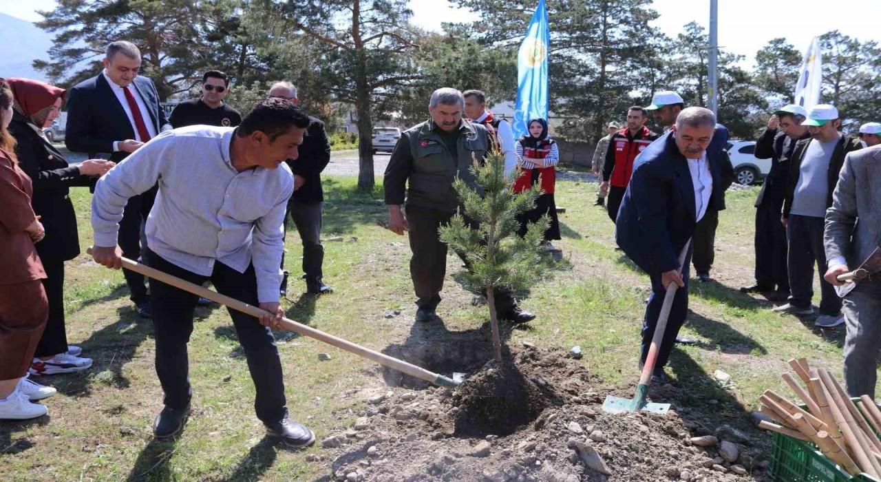 Üzümlüde fidanlar toprakla buluştu