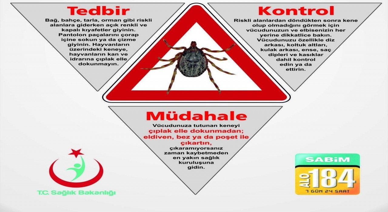 Vakaların arttığı keneye karşı alınabilecek önlemler