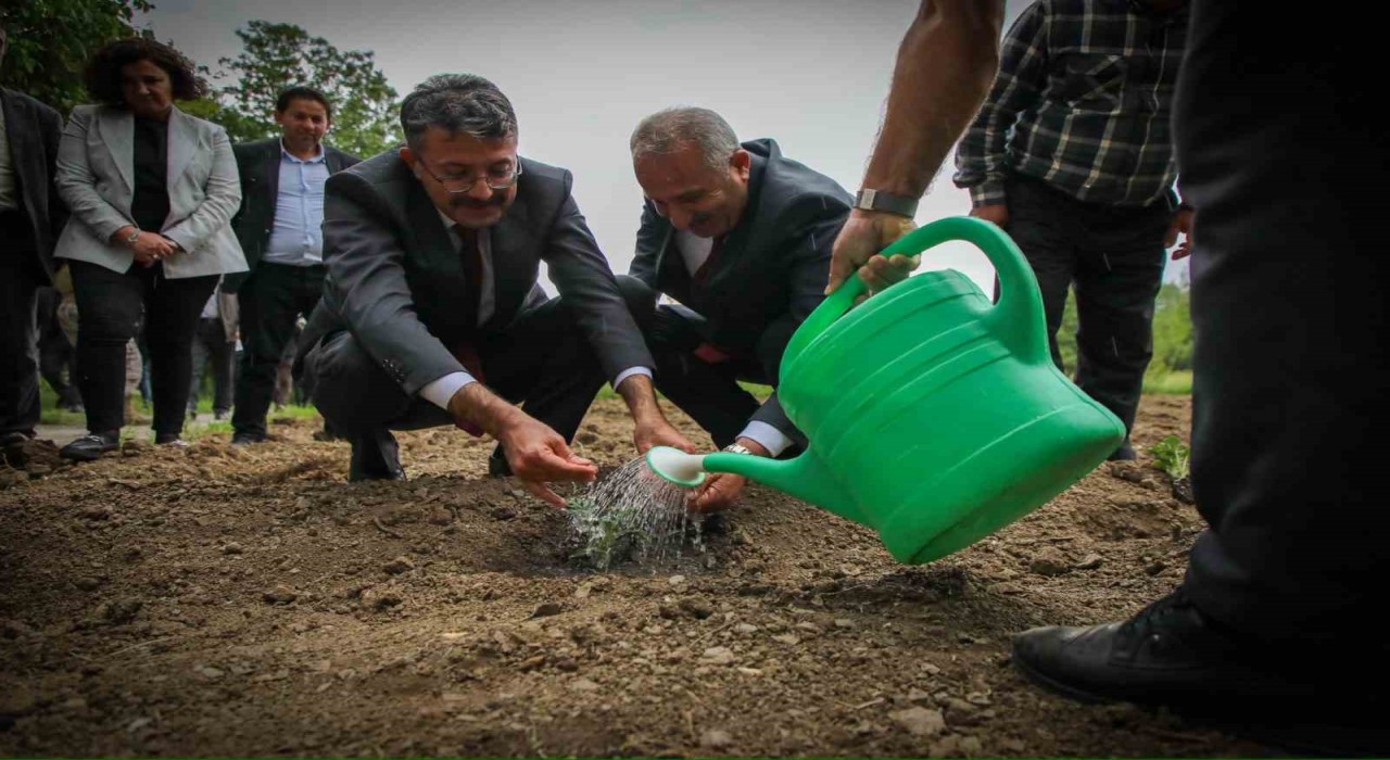 Vali Ali Çelik: Bu toprakları birlikte yeşerteceğiz