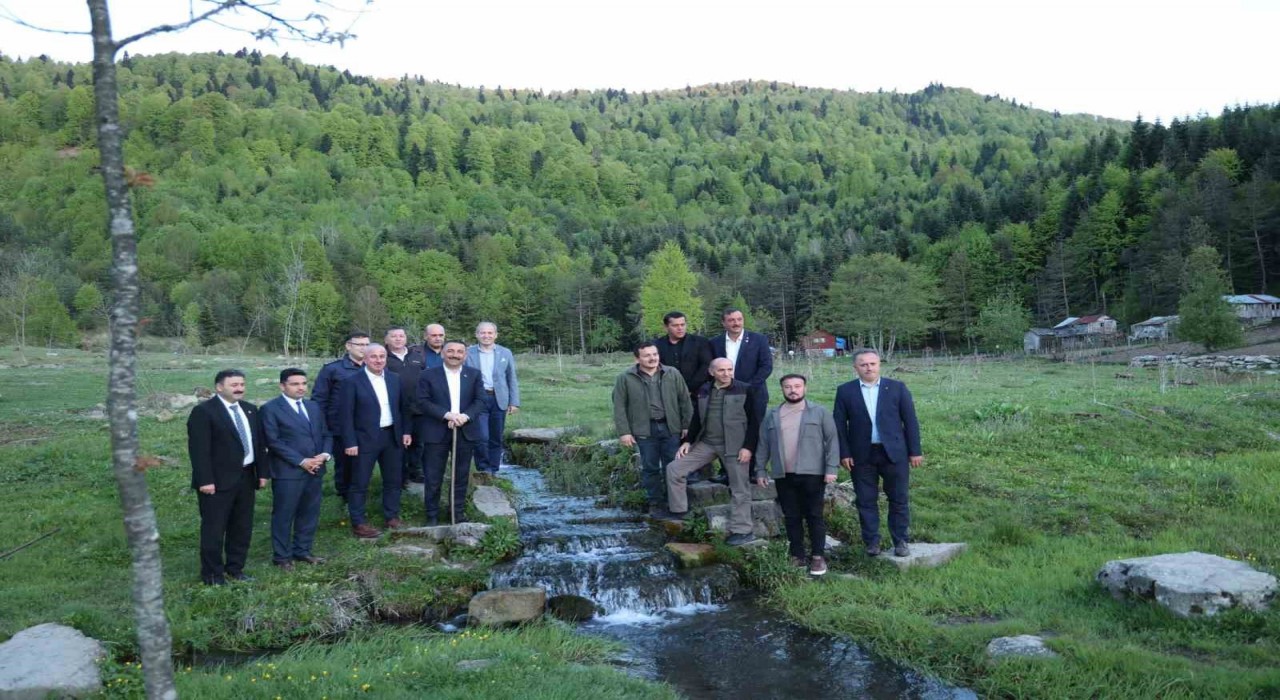 Vali Hacıbektaşoğlu Gümelide anıt ağaçları ve yaylaları inceledi