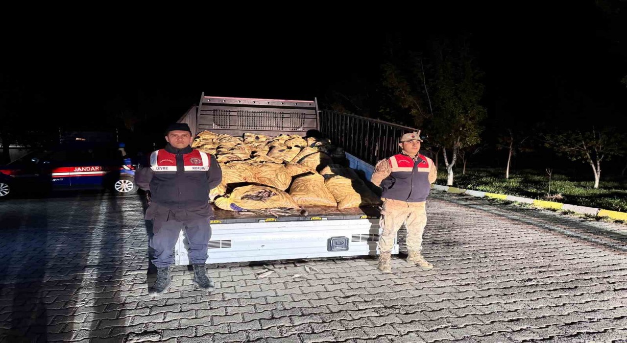Vanda 3 ton 820 kilo kaçak avlanmış balık ele geçirildi