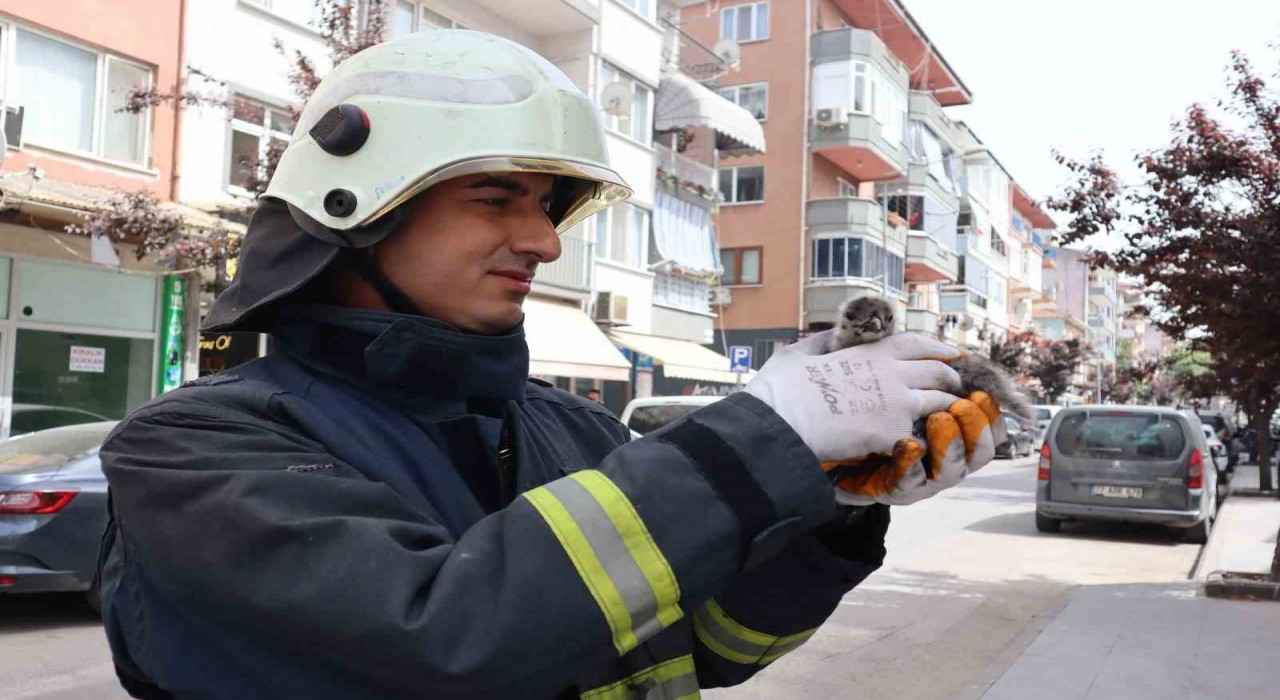 Yalovada çatıdan düşen yavru martıyı itfaiye kurtardı