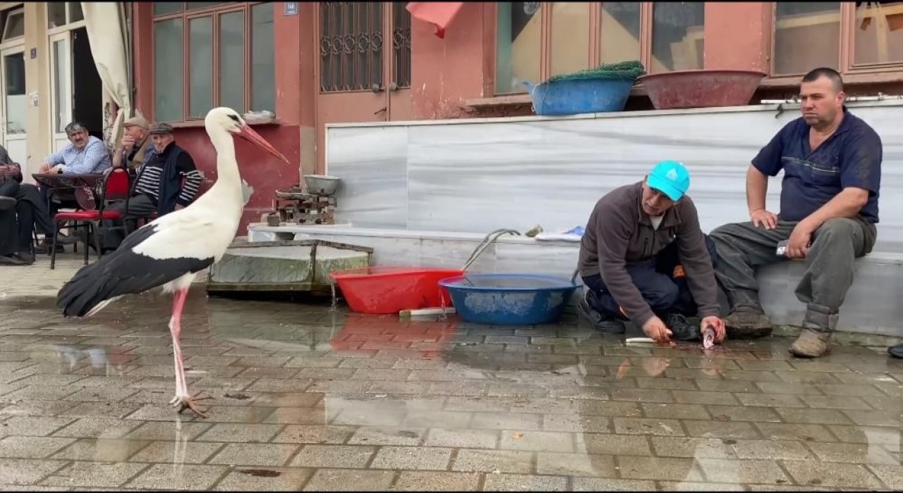 Yarenin rakibi Bilal Leylek baba oldu