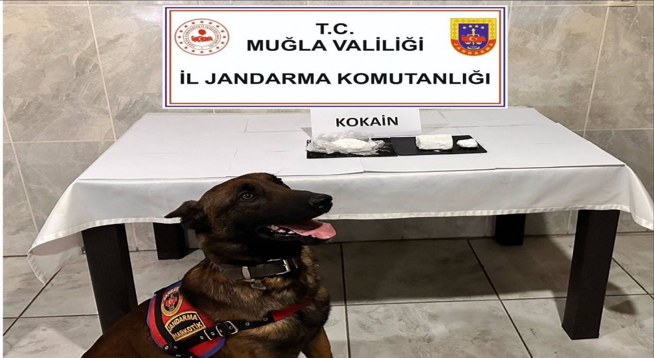 Yatağanda yolcu otobüsünde 290 gram kokain yakalandı