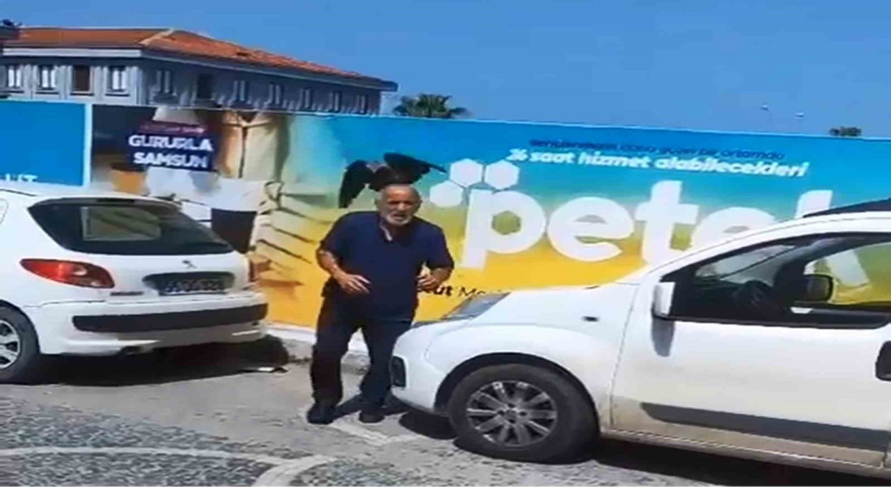 Yavruyu kurtarmak istedi, kargaların hedefi oldu