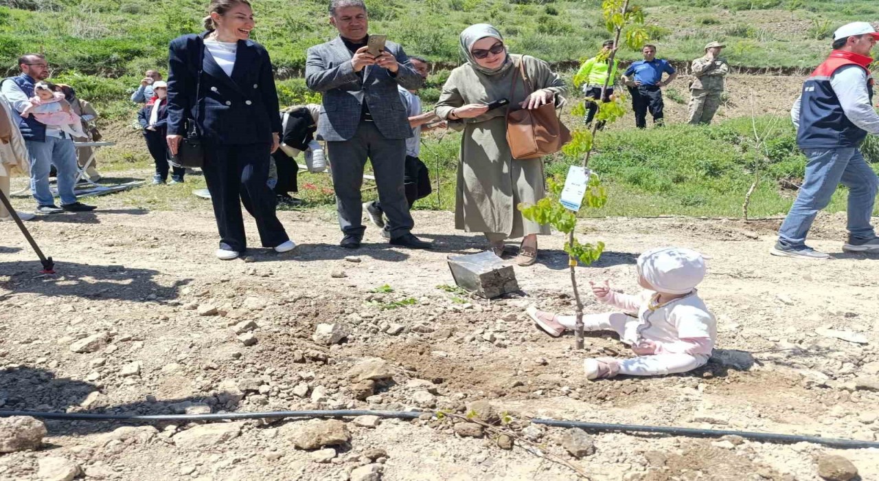 Yeni doğan bebekler hatıra ormanına ilk fidanlar dikildi