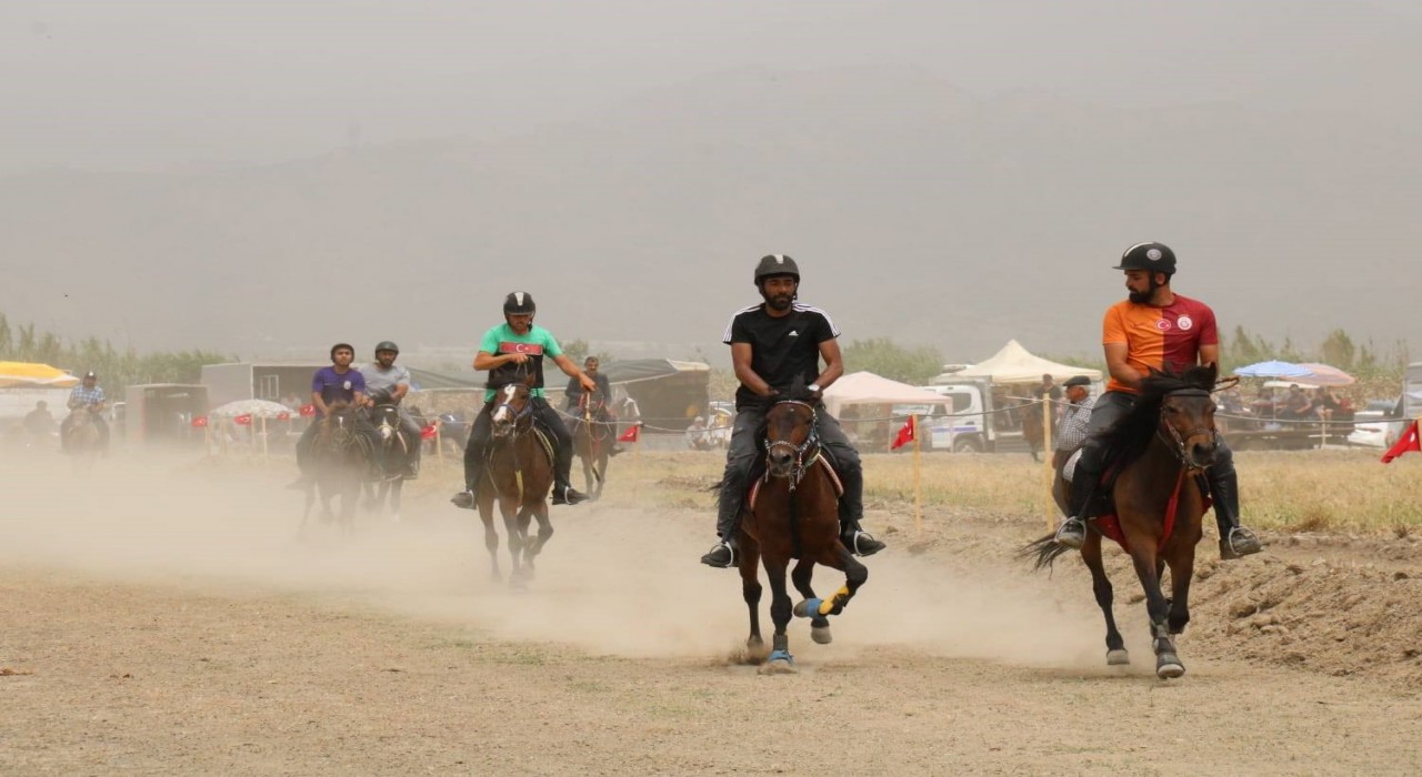 Yenipazarda Geleneksel Rahvan Yarışları nefes kesti