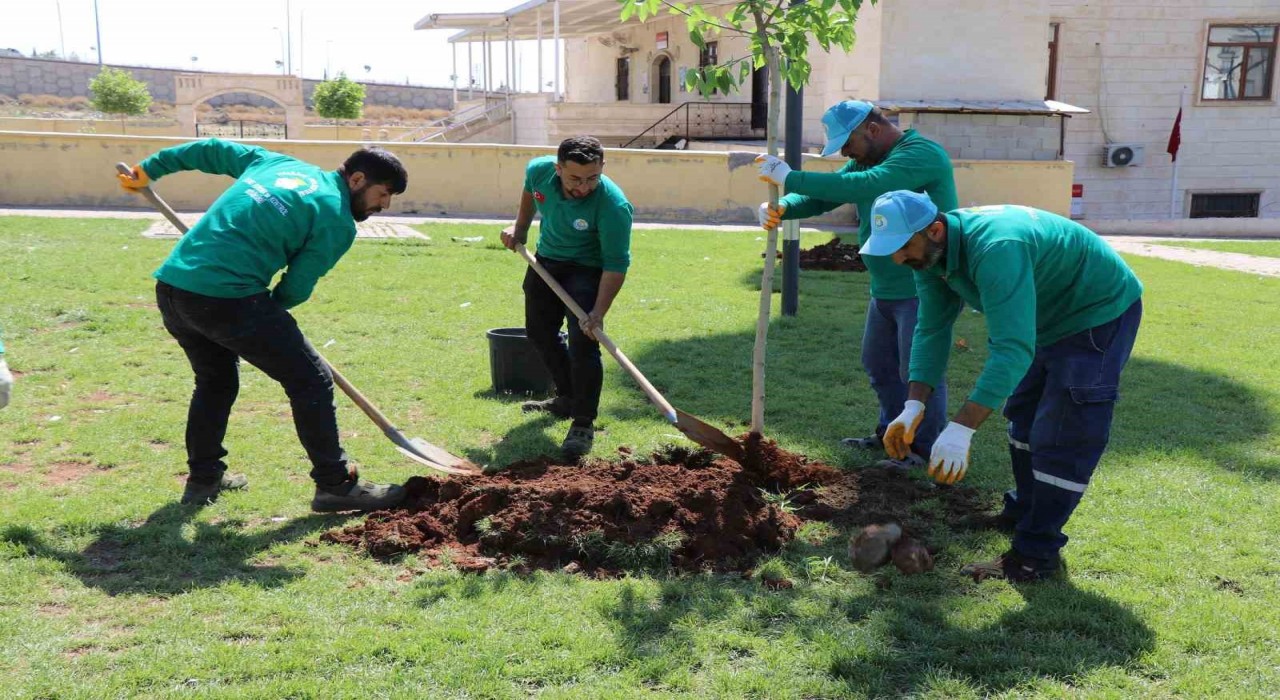 Yeşil alan çalışmalarıyla yaşamın kalitesi arttırılıyor