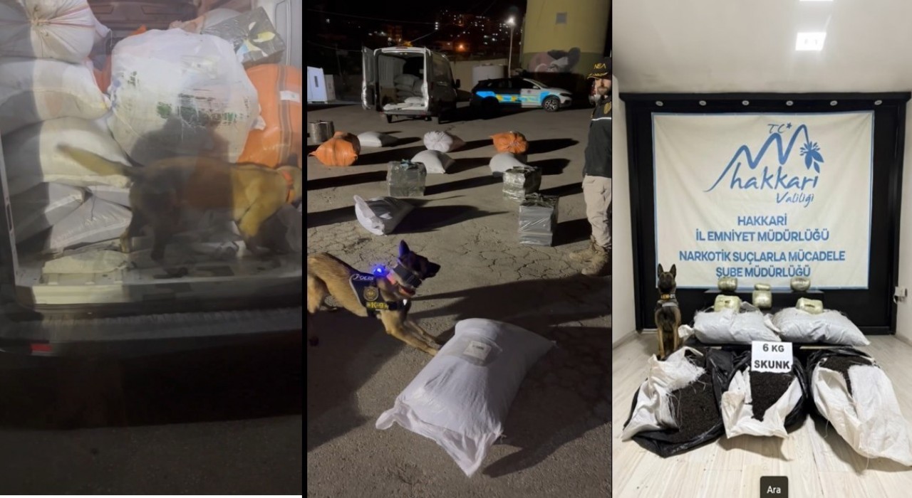 Yüksekovada kargo aracında 6 kilo skunk ele geçirildi