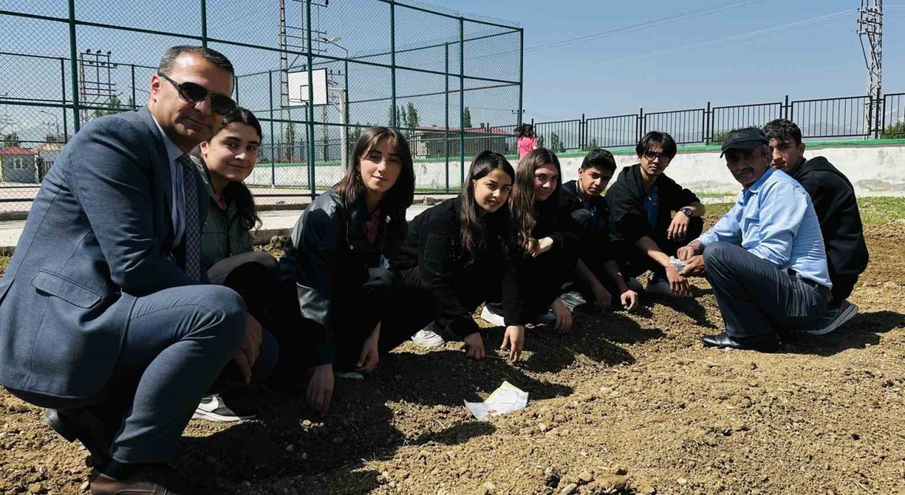 Yüksekovada öğrenciler kendi sebzelerini yetiştiriyor