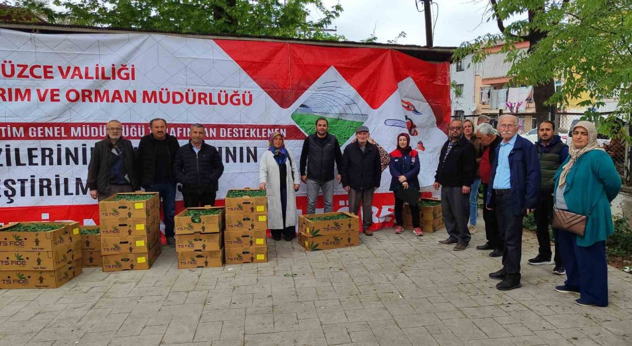 Yüzde 75i bakanlık destekli fideler çiftçilere dağıtıldı