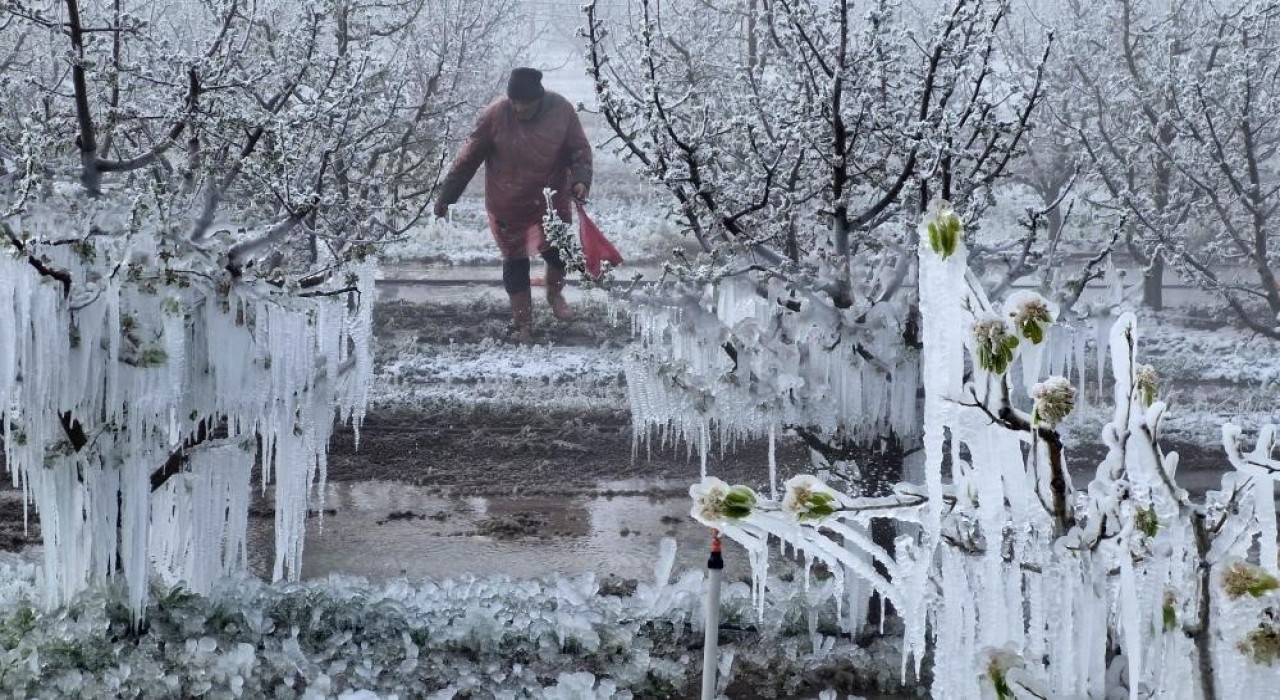 Zirai Don Meclis Araştırma Komisyonu 14 Mayısta toplanıyor