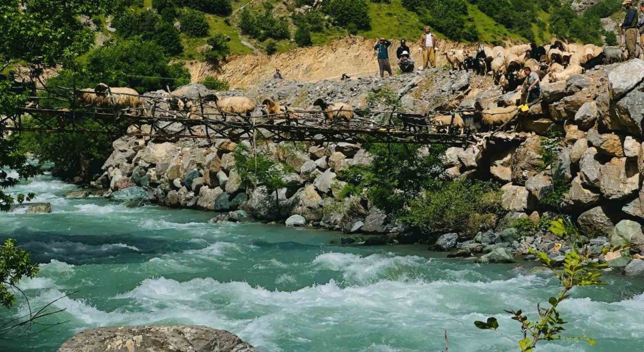 Zorlu coğrafyada hayat mücadelesi: Avaşin Deresindeki asma köprüden geçen koyun sürüsü görenleri hayran bıraktı